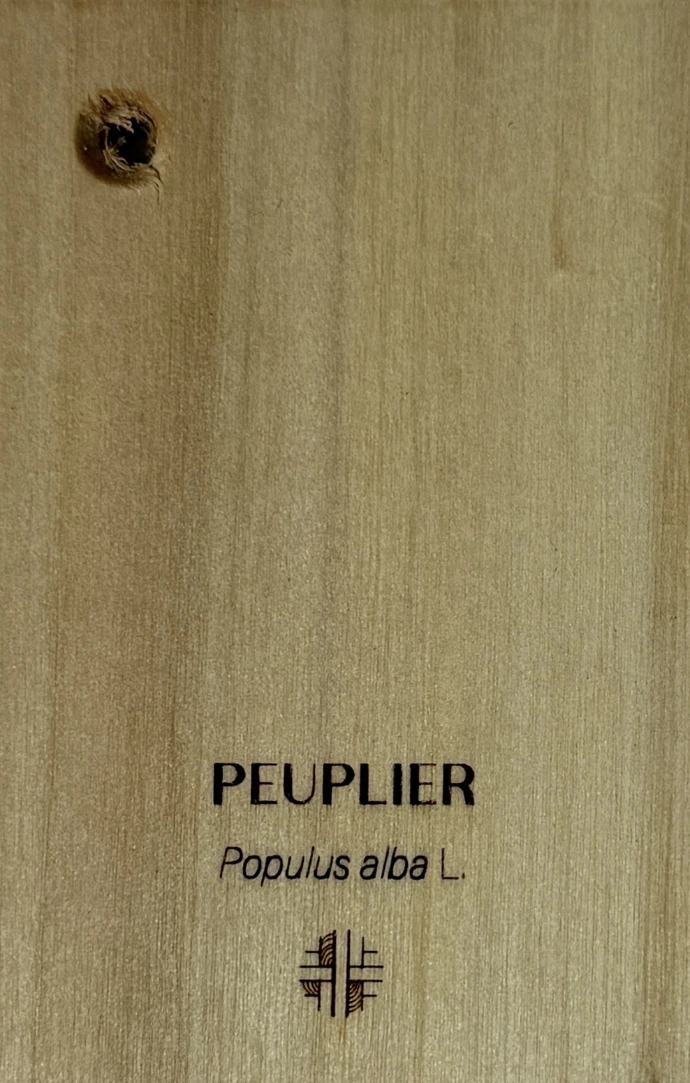 Peuplier