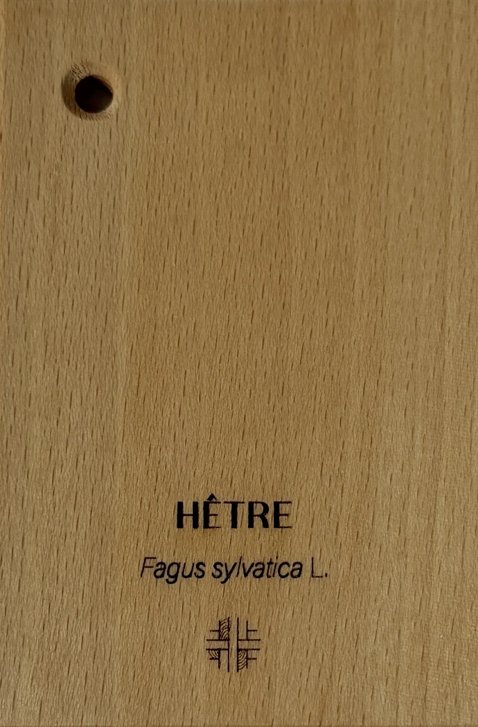 Hetre