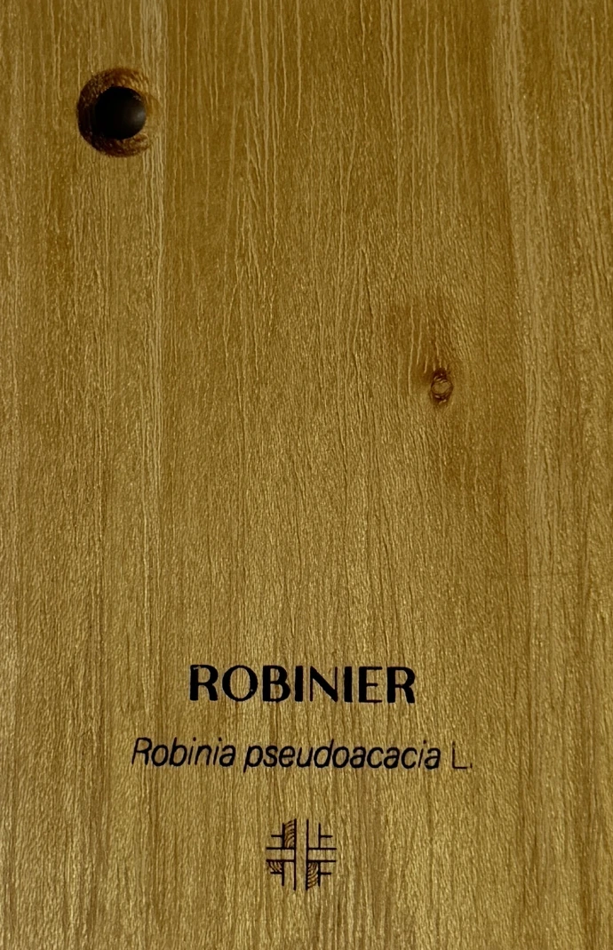 Robinier