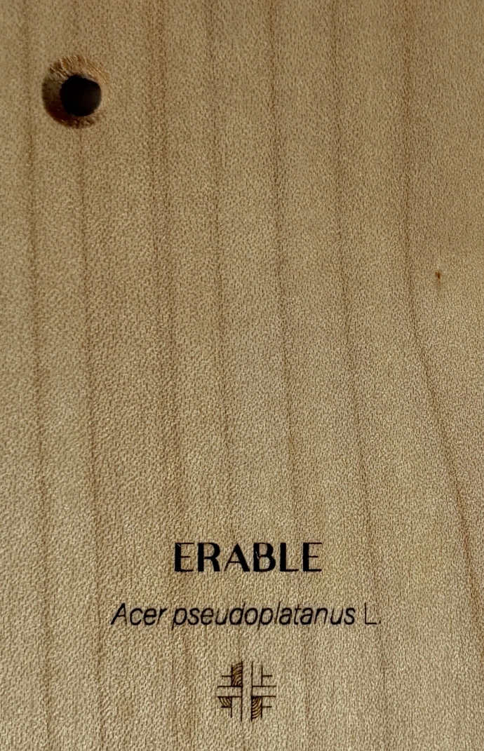 Erable