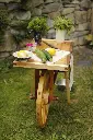 _MG_1635.webp